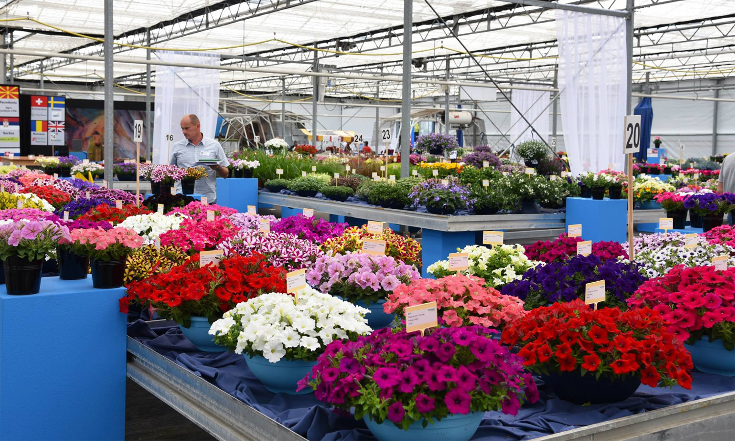 Are you ready? Flower Trials 2019!